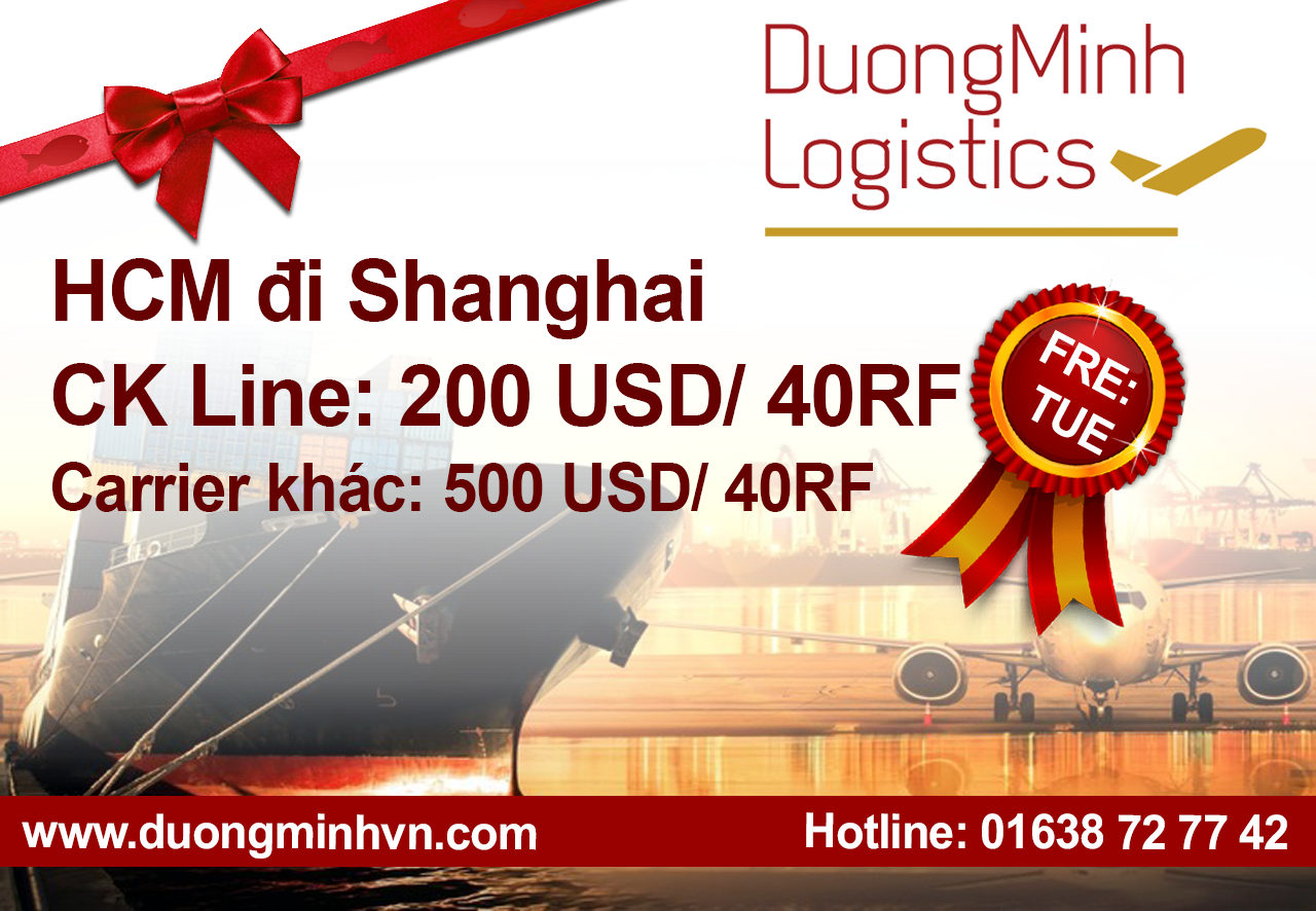 Dịch vụ hải quan và vận chuyển hàng bằng container lạnh (công-ten-nơ lạnh) giá rẻ - Dương Minh Logistics