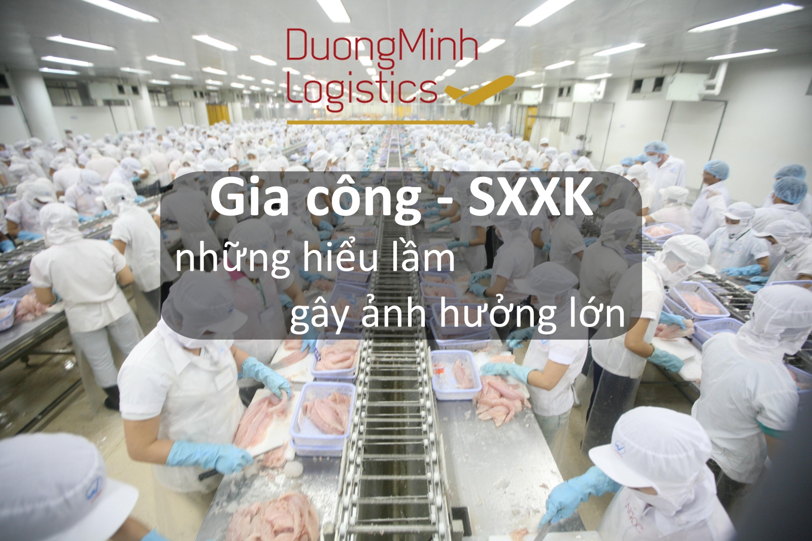 Giải quyết tất cả hồ sơ gia công xuất khẩu bị mất dữ liệu theo thông tư 39 - Dương Minh logistics